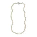 T9794 Timeless Faux Pearl Necklace (44cm)