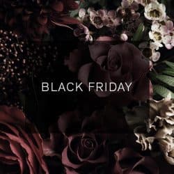 Black Friday 2023