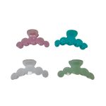 SH8804 Shell Inspired Iridescent Pastel Hair Clamp (4 Assorted Prints)